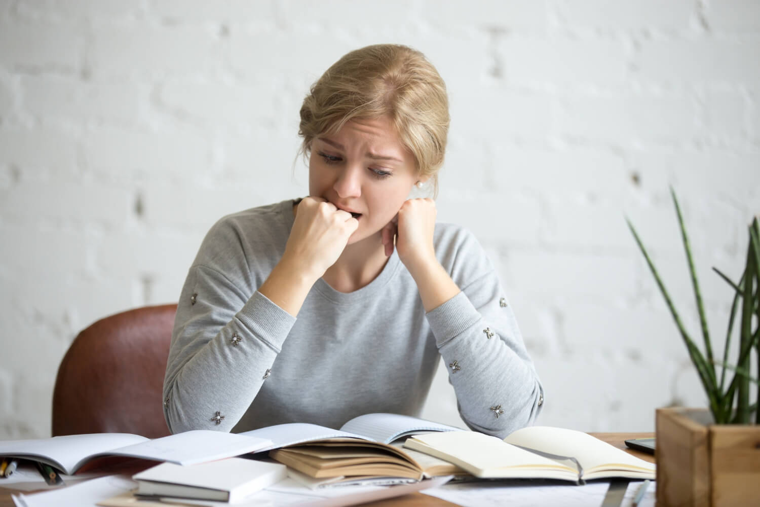 Assignment Help